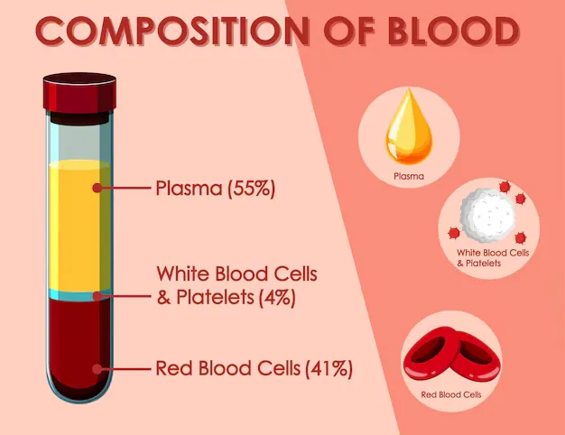 diagram showing composition blood